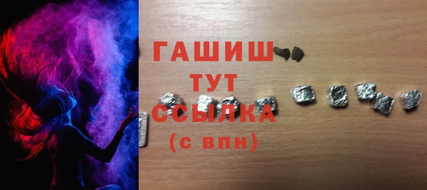 хмурый Алексин