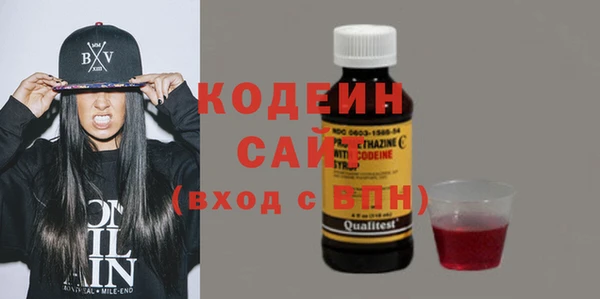 хмурый Алексин