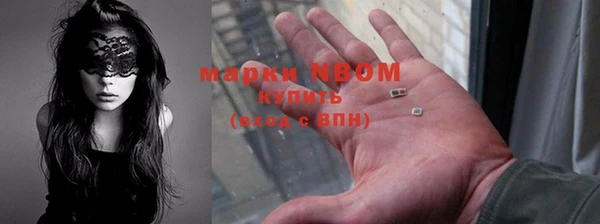 стаф Алзамай