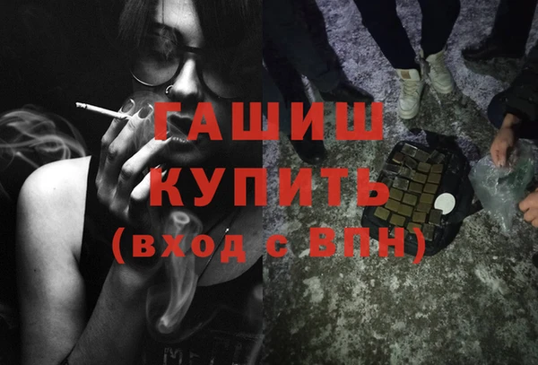стаф Алзамай