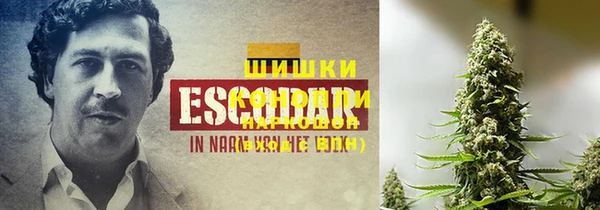 амф Ветлуга