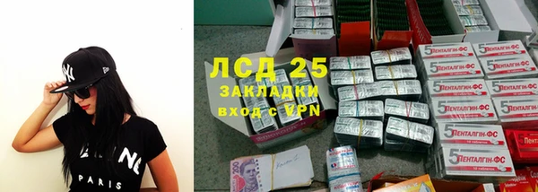 хмурый Алексин